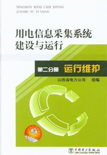 《運(yùn)行維護(hù) 用電信息采集系統(tǒng)建設(shè)與運(yùn)行 第二分冊(cè) 信息系統(tǒng)運(yùn)行維護(hù)服務(wù)》解析